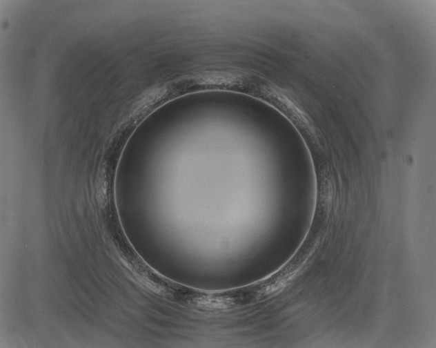 X0000083620261200702201323