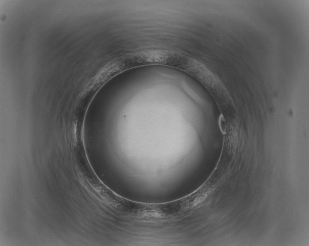 X0000083620262200702201323