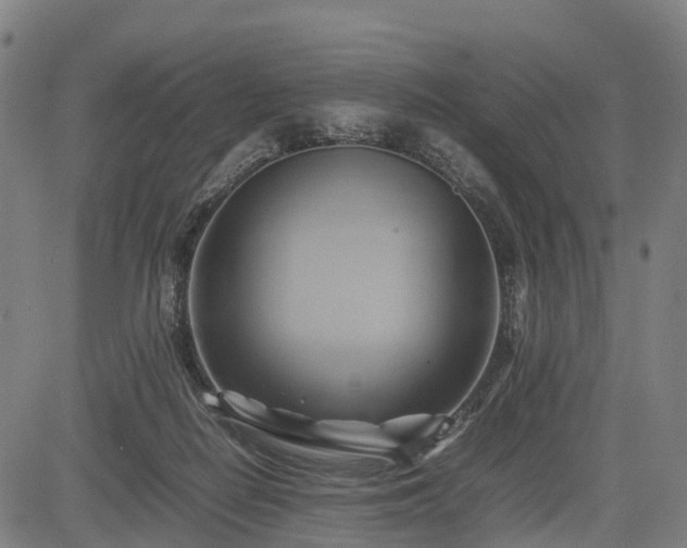 X0000083620266200702201324