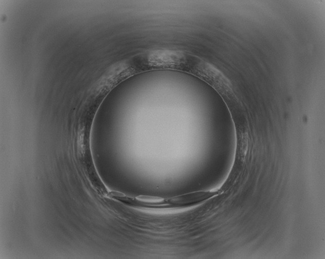 X0000083620267200702201324