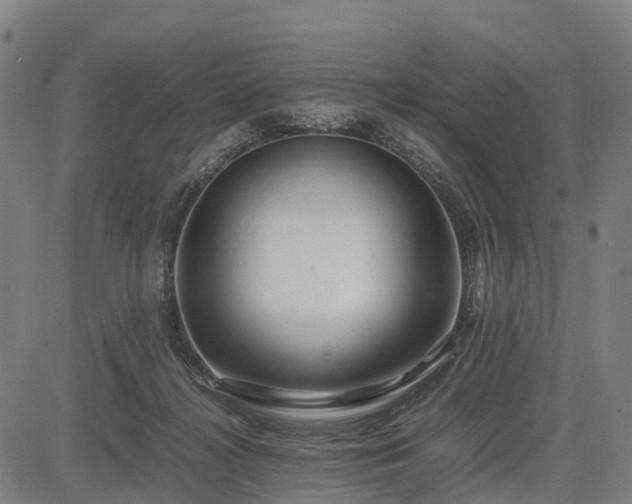 X0000083620268200702201324