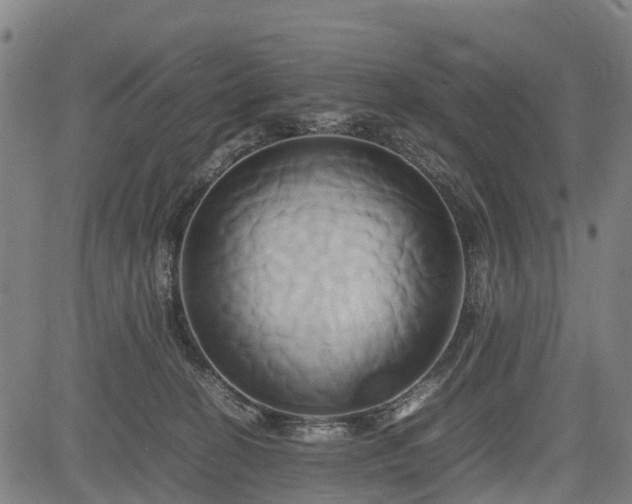 X0000083620274200702201324