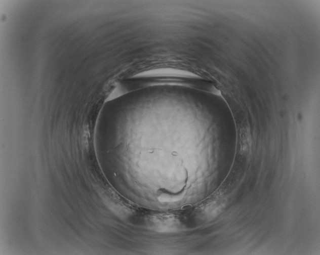 X0000083620279200702201324