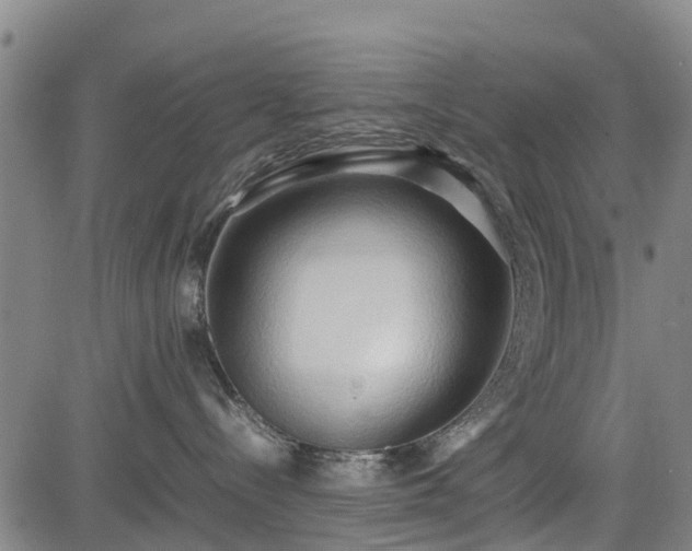 X0000083620288200702201324
