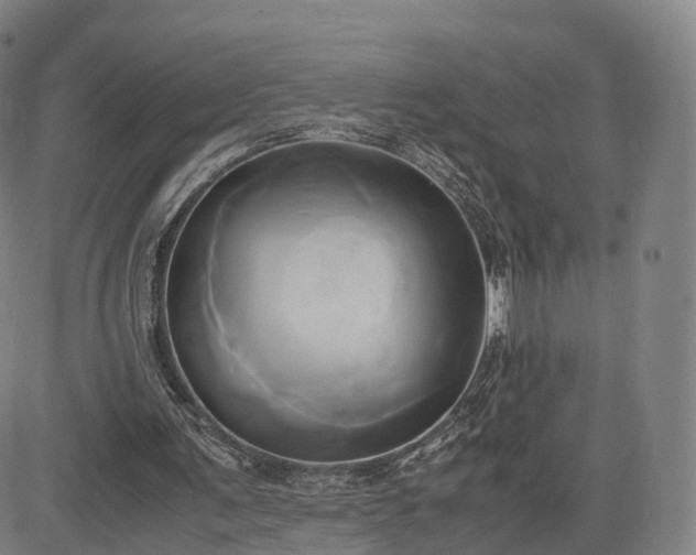 X0000083620291200702201323