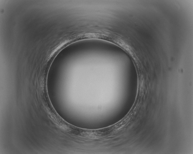 X0000083620297200702201323