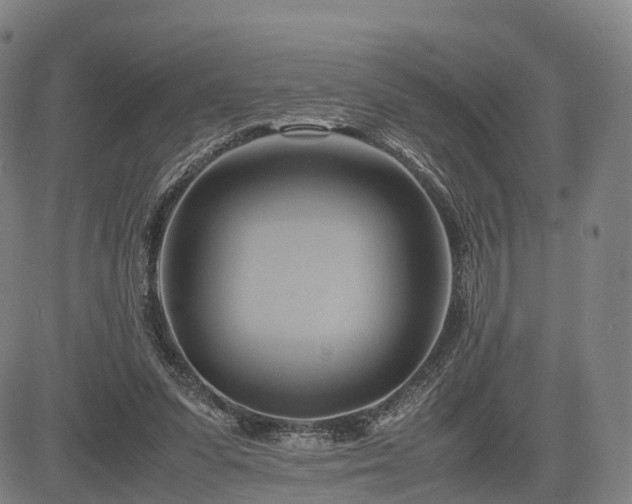 X0000083620303200702201323