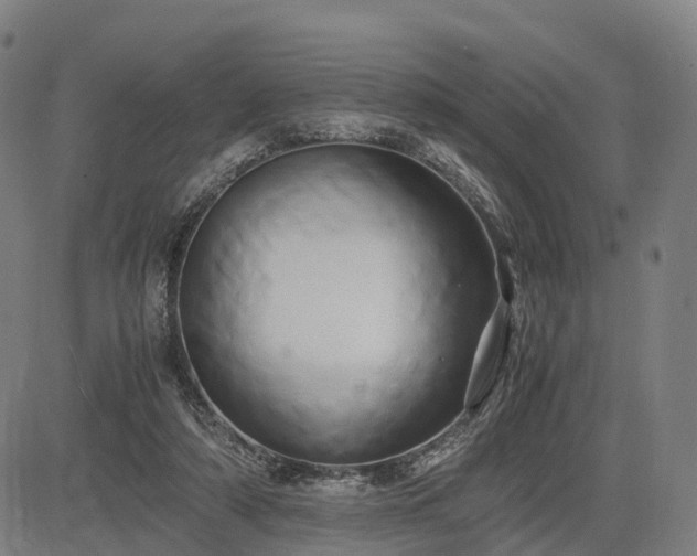 X0000083620306200702201323