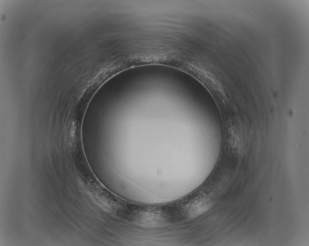X0000083620308200702201323