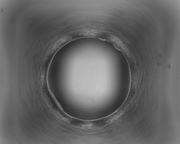 X0000083620309200702201323