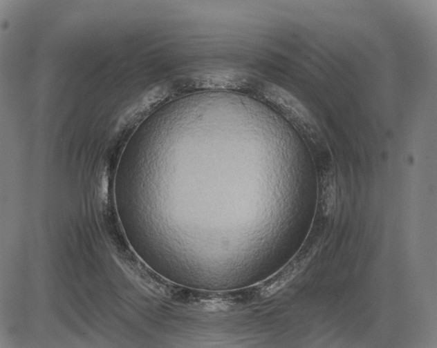 X0000083620310200702201323