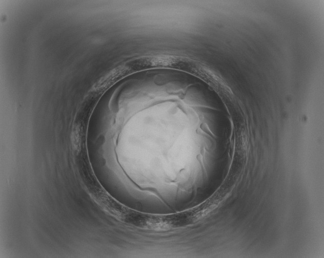 X0000083620311200702201323