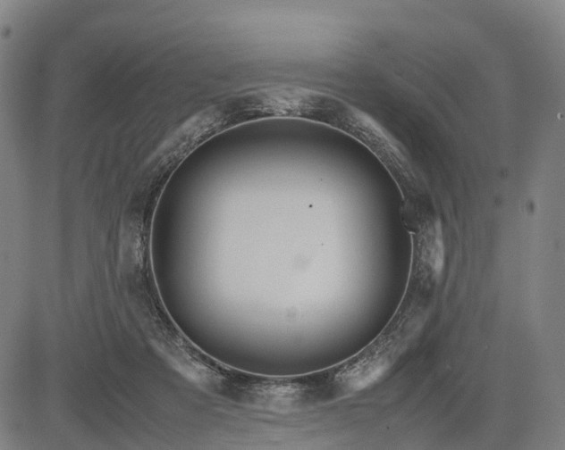 X0000083620313200702201323