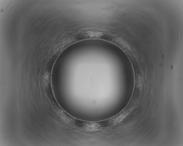 X0000083620321200702201323