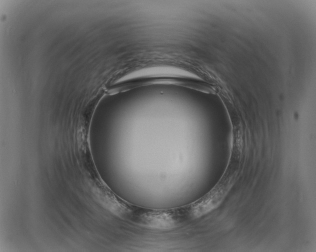 X0000083620322200702201323