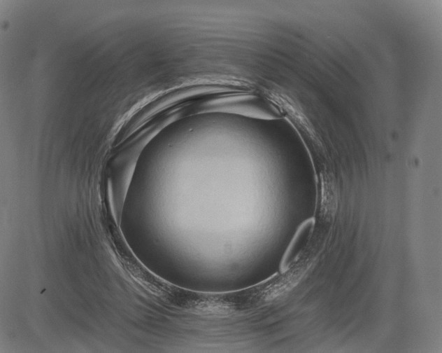 X0000083620348200702201322
