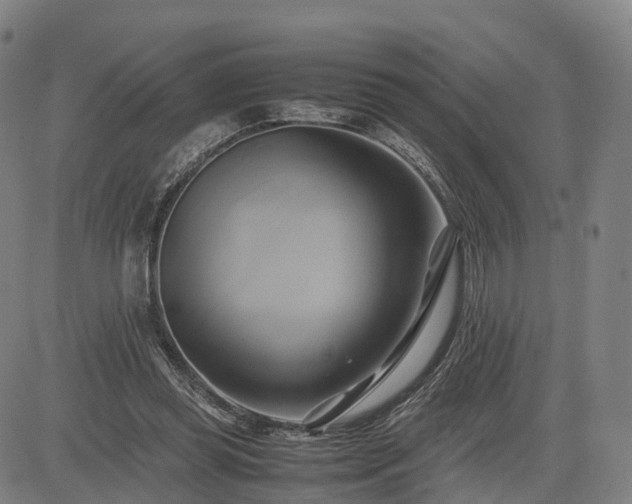 X0000083620349200702201322