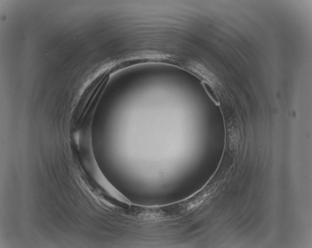 X0000083620350200702201322