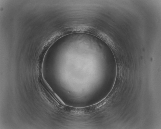 X0000083620354200702201322