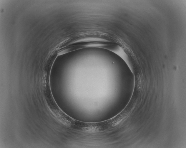 X0000083620356200702201322