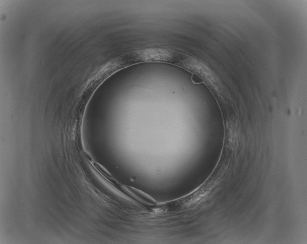X0000083620357200702201322