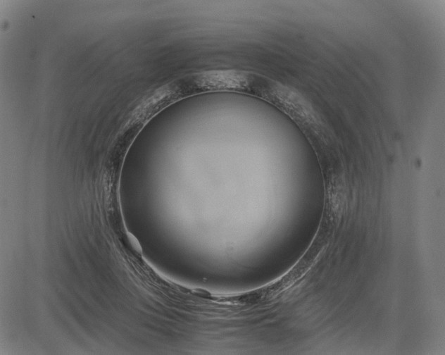X0000083620359200702201322