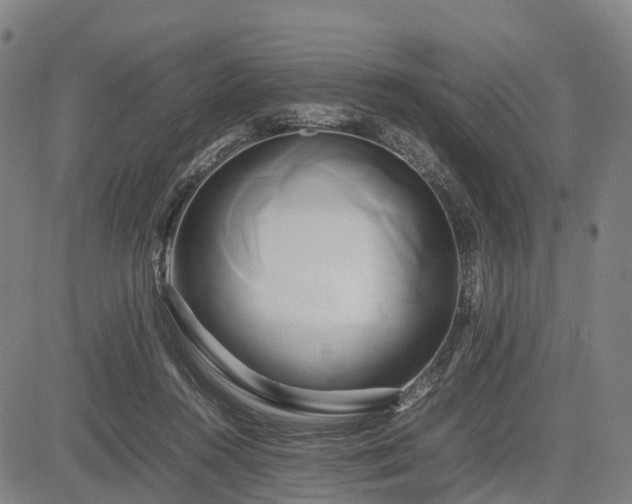 X0000083620360200702201322