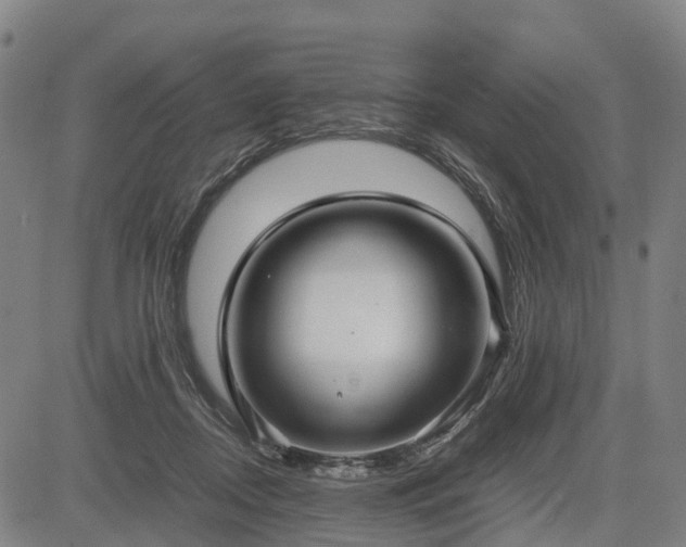 X0000083620362200702201322