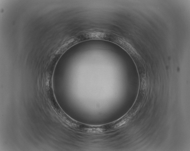 X0000083620363200702201322