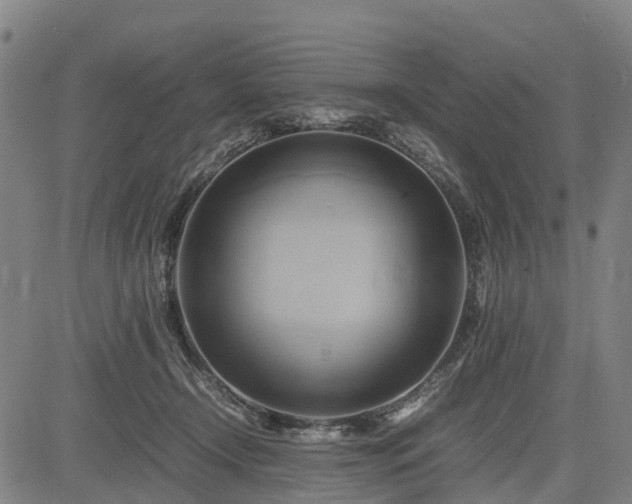 X0000083620366200702201322