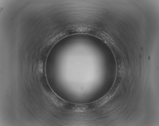 X0000083620368200702201322