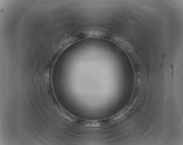 X0000083620369200702201322