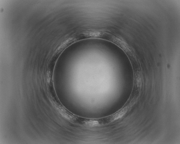 X0000083620374200702201322