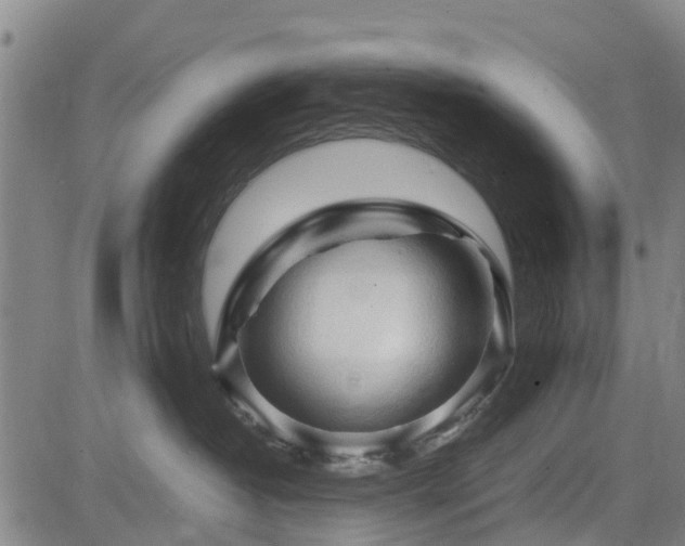 X0000083620382200702201322