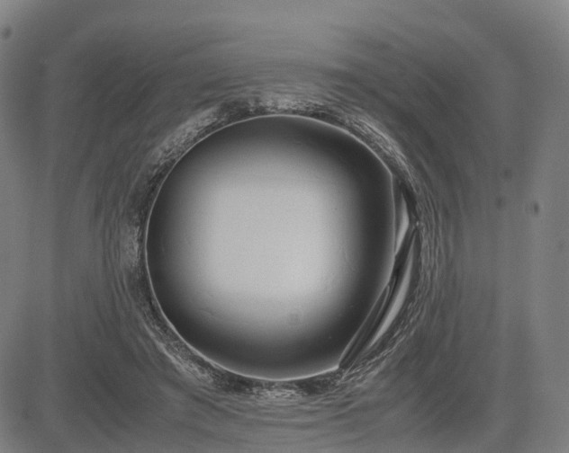 X0000083620401200702201321