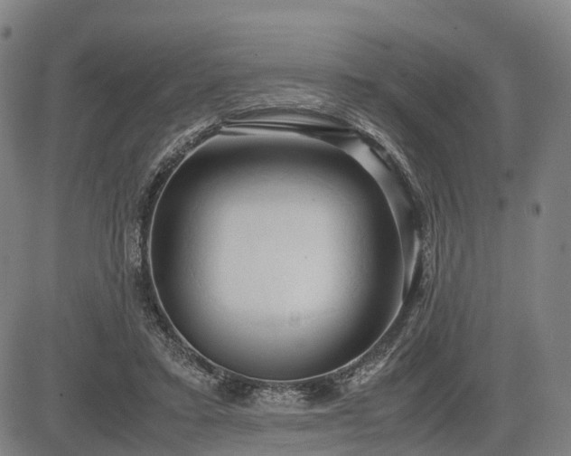 X0000083620403200702201321