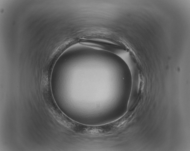 X0000083620407200702201321