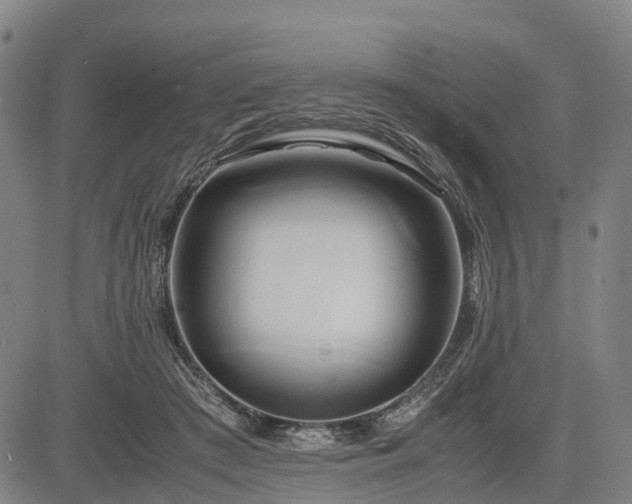 X0000083620409200702201321