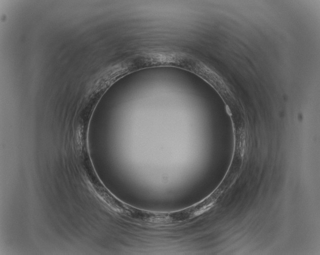 X0000083620410200702201321