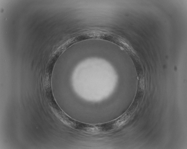 X0000083620411200702201321