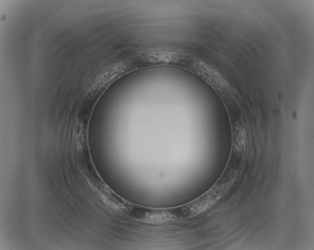 X0000083620414200702201321