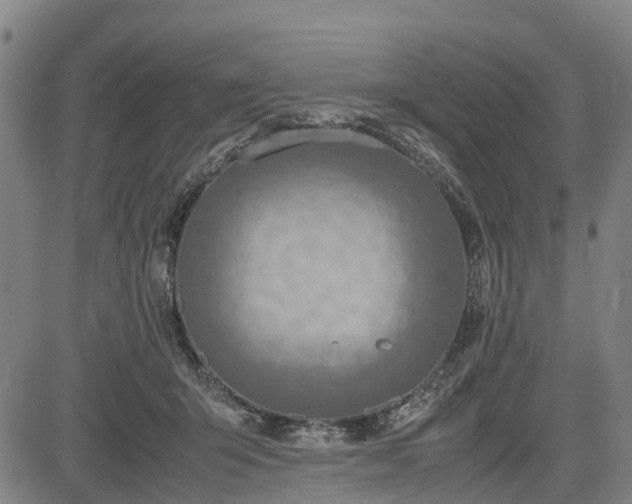 X0000083620415200702201321