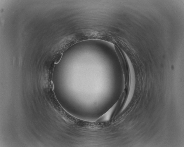 X0000083620416200702201321