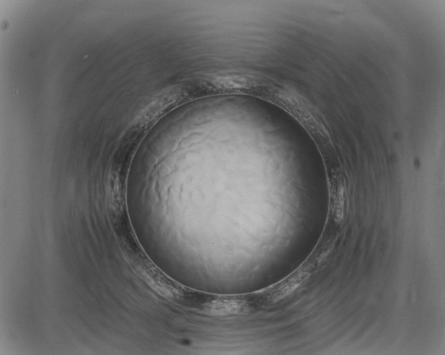 X0000083620418200702201321