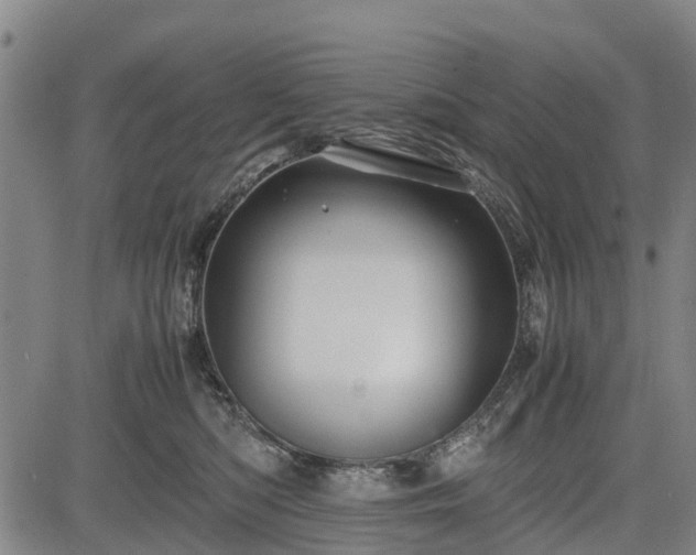 X0000083620422200702201321