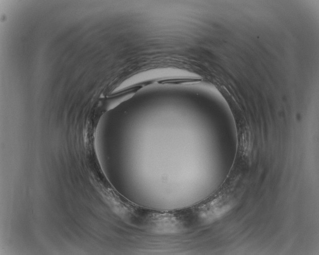 X0000083620424200702201321