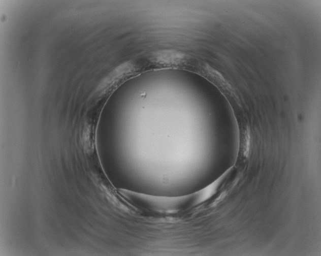 X0000083620428200702201321