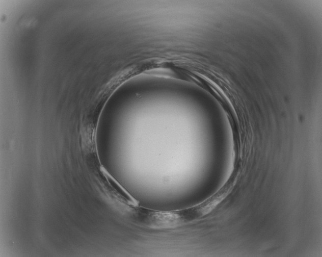 X0000083620429200702201321