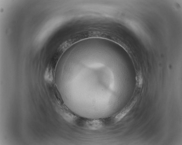 X0000083620431200702201321