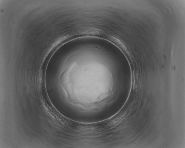 X0000083620435200702201320